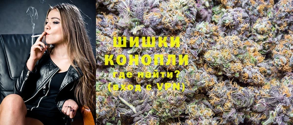 хмурый Дмитровск