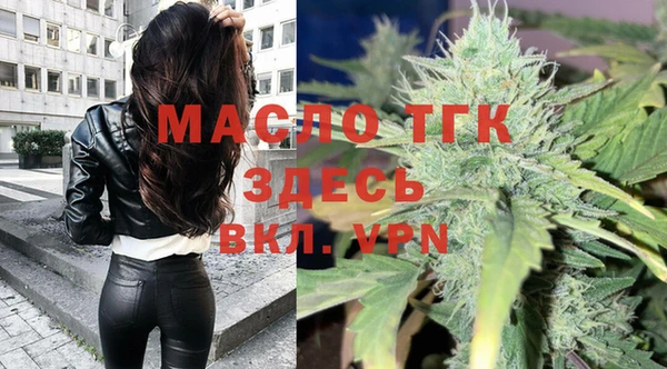 хмурый Дмитровск