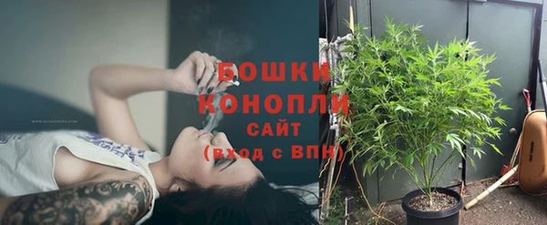 хмурый Дмитровск